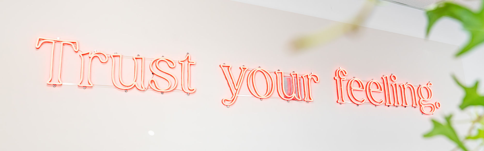 Trust your feeling — ara Shoes Neon-Schriftzug